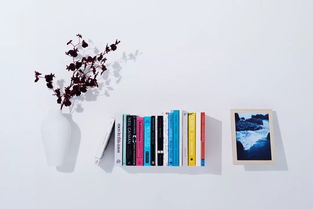 這個(gè)會(huì)隱身的酒店 是通往二次元的傳送門