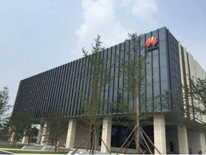 眾巨頭入駐襄陽云谷，金融外包服務繪就城市未來新藍圖