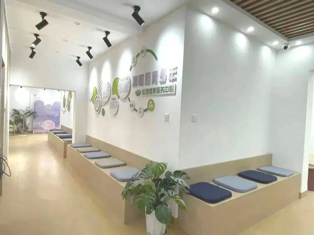 心理咨詢室創(chuàng)建驗(yàn)收暨健康咨詢服務(wù)活動(dòng)圓滿完成